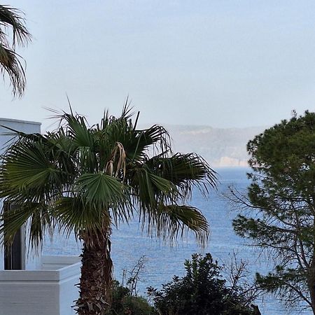 Delfini Apartments Kissamos Luaran gambar