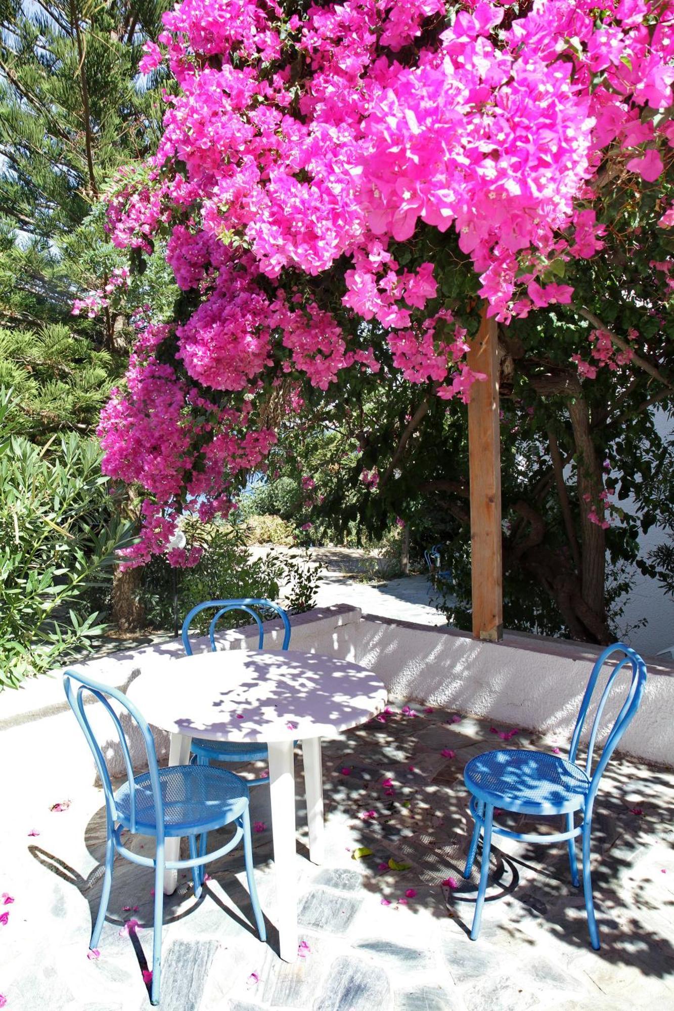 Delfini Apartments Kissamos Luaran gambar