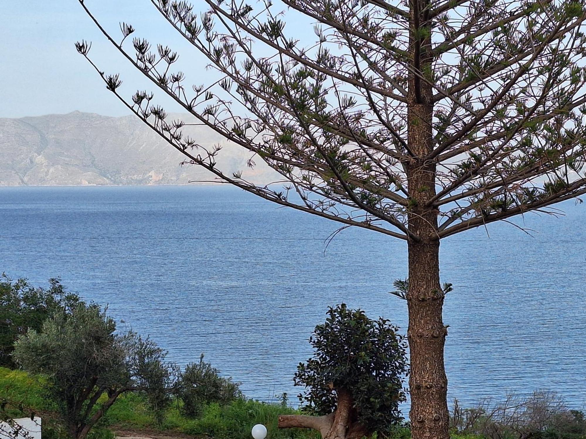 Delfini Apartments Kissamos Luaran gambar
