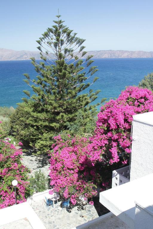 Delfini Apartments Kissamos Bilik gambar